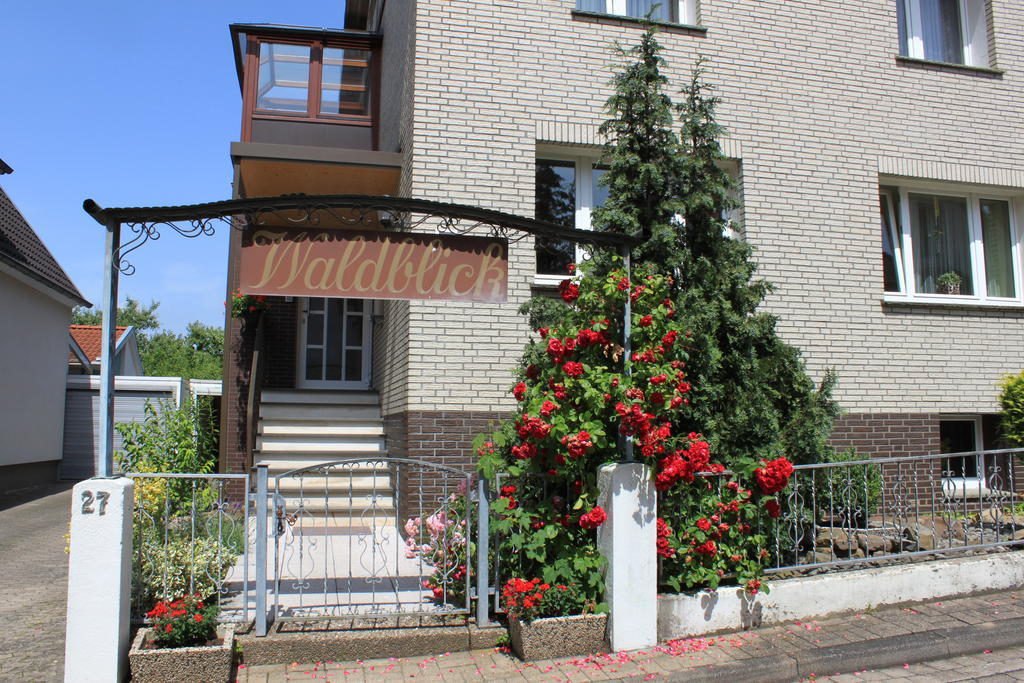 Ferienquartier Waldblick Otel Lügde Dış mekan fotoğraf